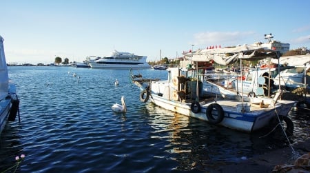 quies amica - la musica, sea, christopher cross, blue