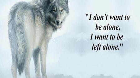 wolf wisdom