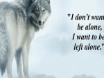 wolf wisdom