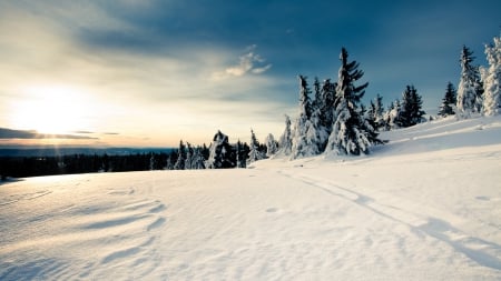 Scenic Winter Scene - scenic winter, winter scene, scenic winter scene, beautiful winter, pretty winter