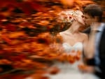 Married in the Fall