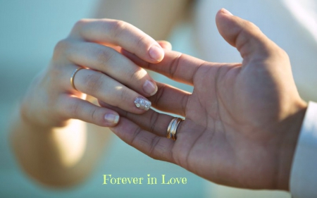 Forever in Love - Wedding, Hands, Love, Rings