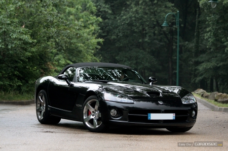 Viper - exotic, dodge, srt, viper