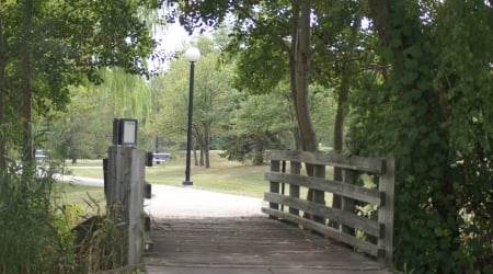 Go toward the lighgt! - grass, bridges, forest, woods