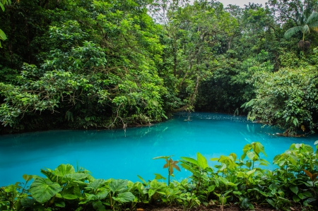 CELESTE RIVER, COSTA RICA - turquoise, national park, forest, landscape, trees, water