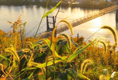 Evening Over The Bridge - river, water, nature, autumn, riverweed, grass, field, bridge