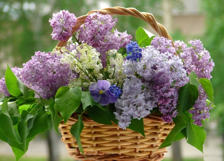 *** Basket of lilacs *** - freshness, fragrance, bouquet, basket, still life, spring, pretty, lily of the valley, scent, lilac, garden, lovely, pansies, nature, lilacs, beautiful, leaves, flowers