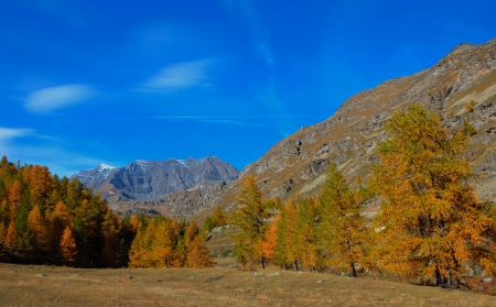 *** Autumn *** - red, sky, trees, nature, blue, autumn