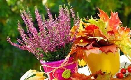 Autumn gifts - nice, season, autumn, falling, colorful, lovely, foliage, nature, fall, beautiful, leaves, flowers, pot, gifts, garden