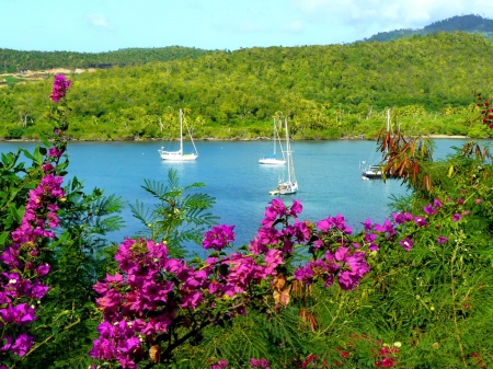 River walk - summer, grass, walk, calmness, flowers, shore, riverbank, view, waters, nice, greenery, beautiful, lovely, boats, river, nature, serenity