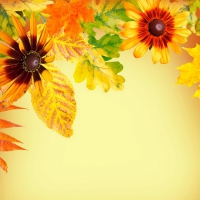 Autumn background