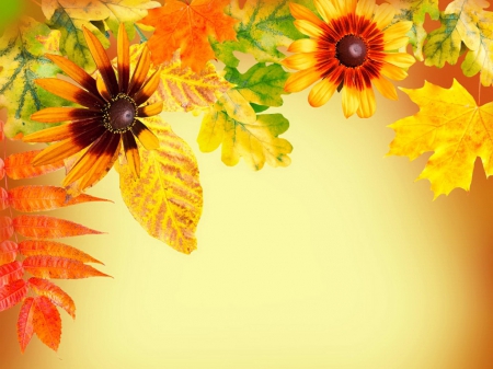 Autumn background - nice, season, autumn, background, lovely, foliage, fall, pretty, beautiful, leaves, colors, golden, flowers