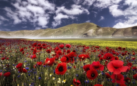 Castelluccio, Umbria, Italy