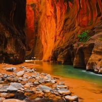 Zion National Park, Utah