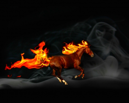 Horse - art, horse, animals, fire