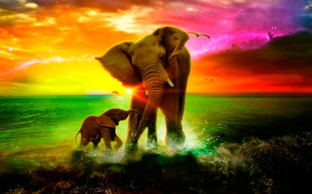 Elephants - sky, elephants, sea, animals