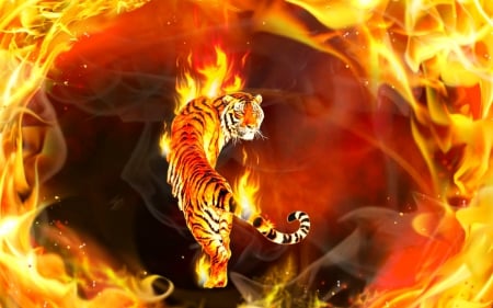 Tiger - fire, animals, tiger, art