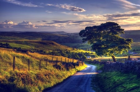 Beautiful View - nature, sky, trees, blue, beautiful, landscpaes, mountains, road