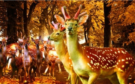 Deer - trees, animals, deer, autumn