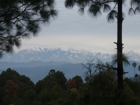 Himalayan range seen from India - scenery, mountains, exotic, great view