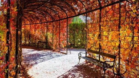 Autumn in Austria - sunshine, benches, wine, park