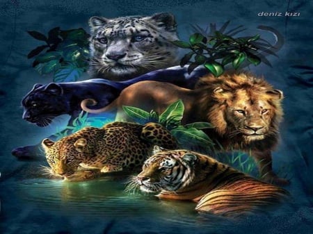 Wild Cats - animal, lion, tiger, cat