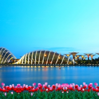 *** SINGAPURE -garden by the bay ***