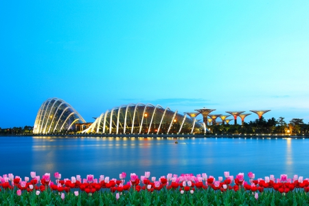 *** SINGAPURE -garden by the bay *** - garden ocean, tulips, architecture, flowers, bay