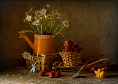 Still life - nature, flowers, still life, soft