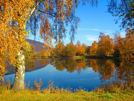 Autumn lake - calm, quiet, leaves, shore, lake, nice, sky, falling, trees, water, beautiful, lovely, fall, birch, nature, tranquility, season, autumn, serenity, foliage