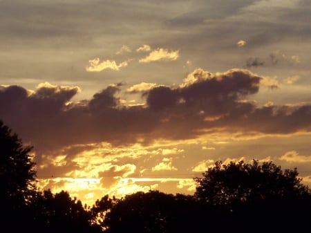 Sunset over the trees. - sky, sunset, high, cool