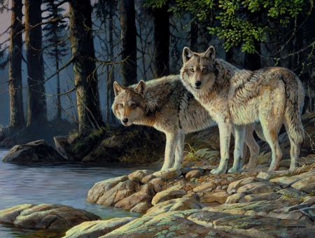 Shades of grey - wolf, forest, shore, riverbank, art, woods, trees, winter, shades, water, stones, wolves, river, grey, nature, painting, rocks, animals