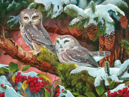 Northern saw-whets - nice, branches, animals, winter, lovely, berries, saw-whets, cold, frost, snow, beautiful, owl, northern