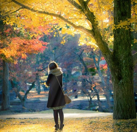 Autumn - girls, fall, trees, nature, gardens