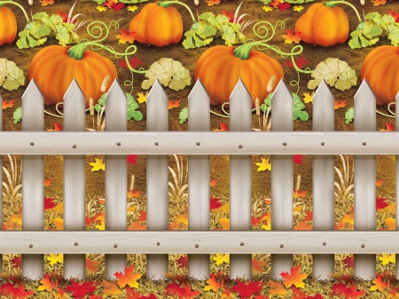 Pumpkin Patch - Autumn, pumpkin patch, pumpkins, Fall, Halloween, pumpkin, fence, leaves