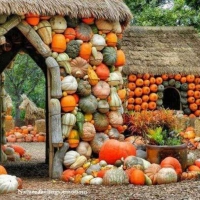 Pumpkin house