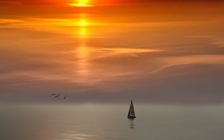 Sailboat at Sunset - water, sunset, birds, sailboat