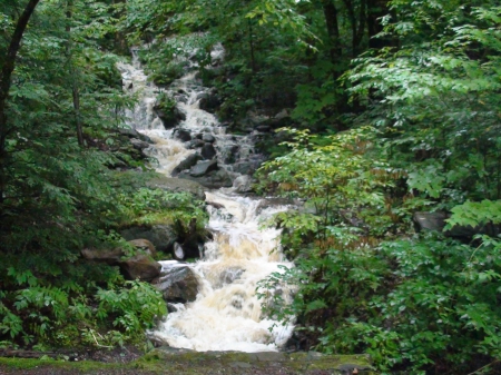 Cherry Plain State Park, New York - trees, state, falls, water, park, waterfalls, cherryplain, nature, newyork, white, forest, leaves, green