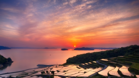 flooded terraces at sunset - fields, hill, sunset, terraces, bay, flooded