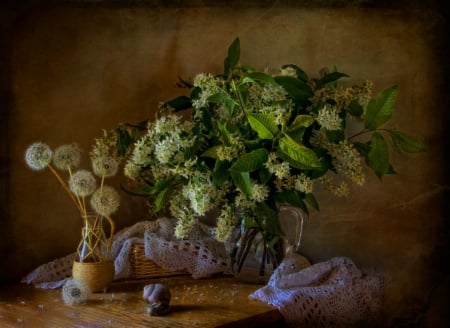 Still life - flowers, still life, nature, soft