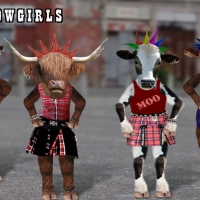 The Cow Dancers Union (hahaha)