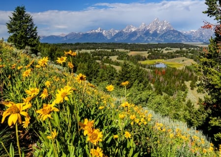 Mountain view - hills, beautiful, slope, lovely, valley, mountain, flowers, wildflowers, nature, view, peak, cliffs, nice, sky