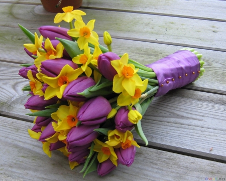 Forever â“›â“žâ“¥â“” â™¥ - purple, yellow, daffodils, tulips, bouquet