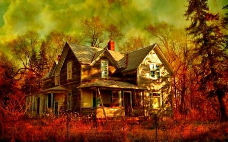 Autumn house - photo, house, tree, trees, autumn