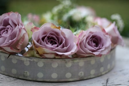 Iâ™¥U - nice, roses, bouquet, for you, bride, lovely, purple, pretty, box