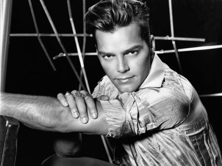 Ricky Martin - artist, male, music, latino, singer, black, white, ricky martin, man