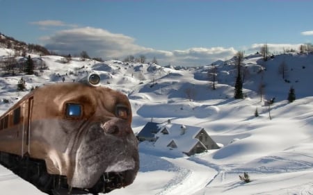 Bulldog Passenger Train - train, scenic, dog, snow