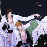 Aizen & Ichigo