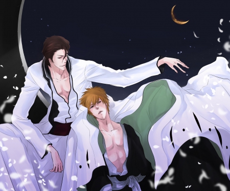 Aizen & Ichigo - aizen, bleach, shonen, kurosaki, anime, ichigo, sosuke, manga