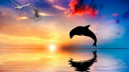 Dolphin Sunset Joy - seagulls, sky, ocean, jumping, joy, sunset, clouds, fish, sea, birds, dolphin